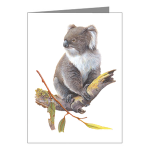 Blank Card - Koala