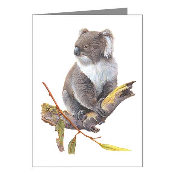 Blank Card - Koala