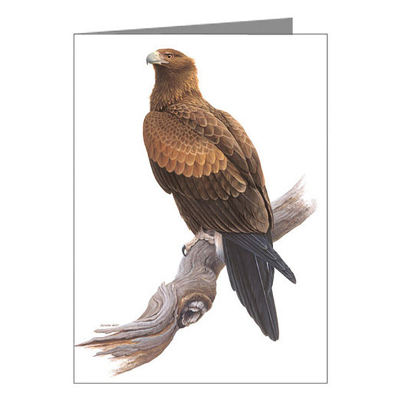 Blank Card - Wedge Tailed Eagle