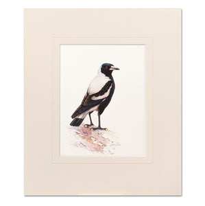 Magpie Mounted Print
