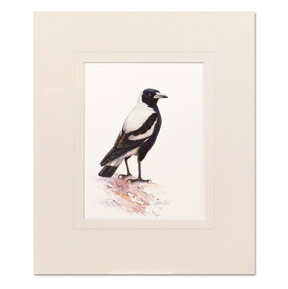 Magpie Mounted Print